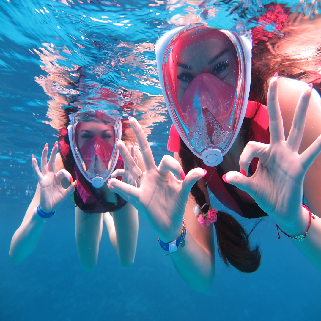 Full-Day Boat Diving snorkling Trip