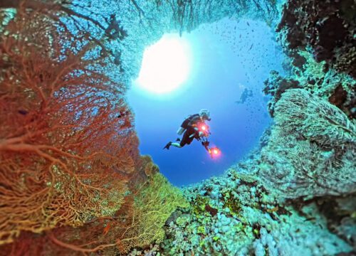 PADI Deep Diver Specialty Certification