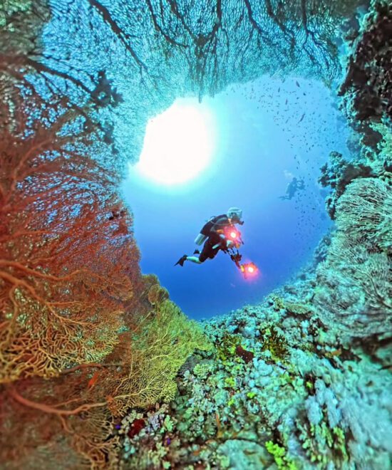 PADI Deep Diver Specialty Certification
