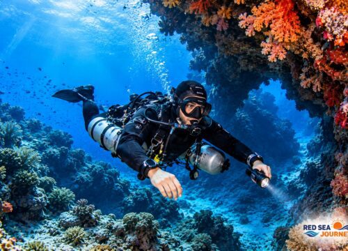 PADI Sidemount Diver Specialty Certification