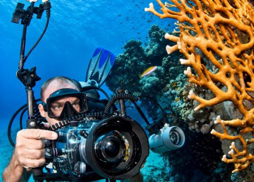 PADI Digital Underwater Photographer Specialty